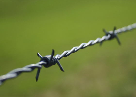 Proteção da fazenda Anti-climbing Double Strand Reverse Twist Barbed Wire