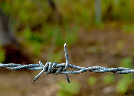 Protecção da Fazenda Anti-Climb mergulho a quente Galvanizado rol de arame farpado