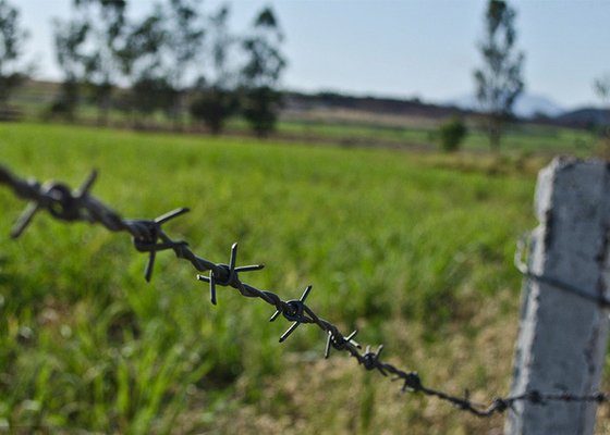 Proteção da construção galvanizado/galvanizado de arame farpado