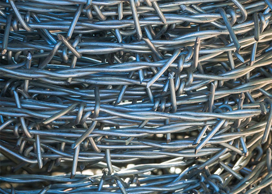 Protecção da Fazenda 12,5 Gauge Double Strand Twist Galvanized Barbed Wire Traditional Coils