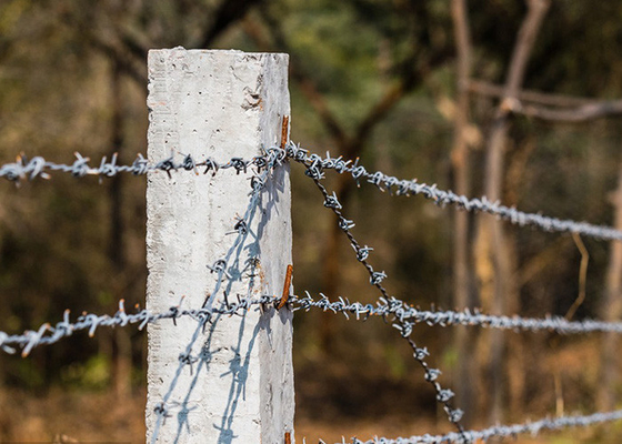 Proteção da exploração agrícola 12.5 Gauge Double Twisted Galvanized Barbed Wire