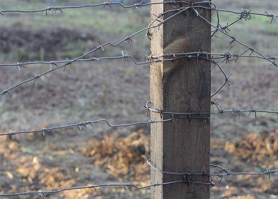 Protecção da exploração agrícola 50 kg de rolos de arame farpado tradicional de duplo fio