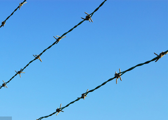 Proteção de construção de vedação 3 ou 4 polegadas distância Barb Electro Barbed Wire