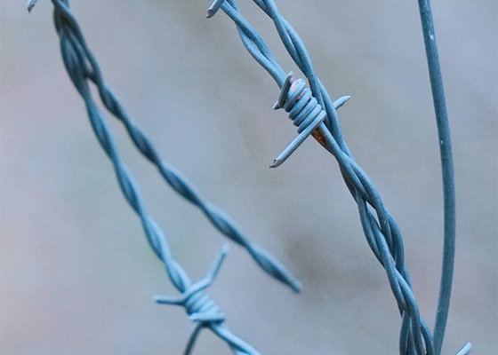 Resistência à ferrugem 3 ou 4 polegadas Barbe Distância Single Strand PVC revestido com fio de barro de ferro