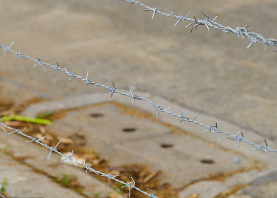 Resistência à ferrugem bobinas de arame farpado galvanizadas de arame farpado duplo torcido, imersas a quente