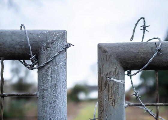 Resistência à ferrugem Torção 3 ou 4 polegadas Barbe Distancia galvanizado a quente mergulhado arame farpado