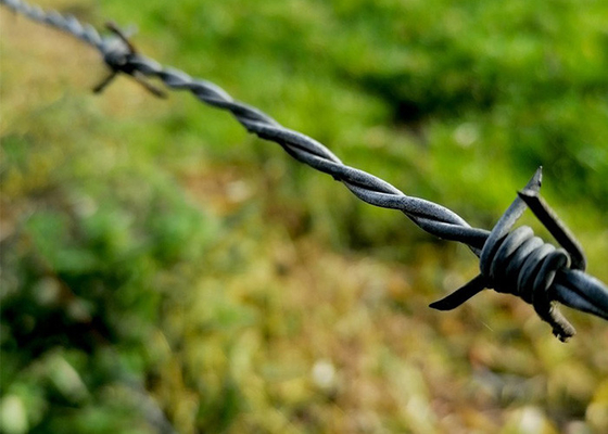 Arame farpado de segurança eletro-galvanizado para isolamento e proteção