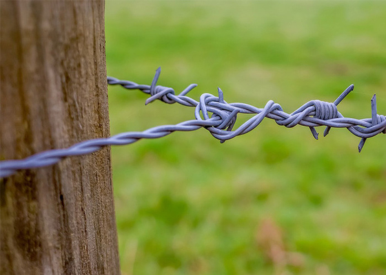 Arame farpado de segurança eletro-galvanizado para isolamento e proteção