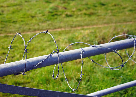 Resistência à ferrugem Grelha de aço galvanizado de fio de barbante de fio único Proteção da construção