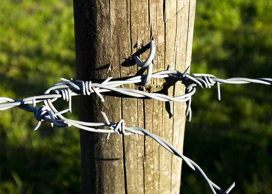 Resistência à ferrugem Fios de barbante de aço inoxidável com duplo filamento invertido