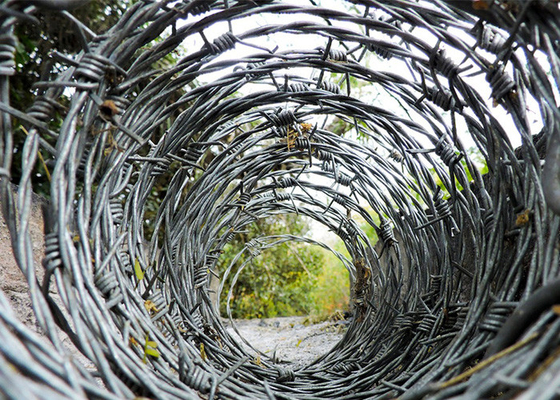 Resistência à ferrugem 14 gauge Double Twisted Galvanized Barbed Wire