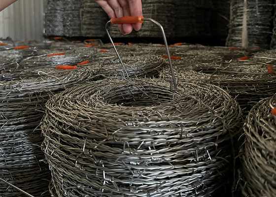 Padrão BWG16 vedação de arame farpado de fios duplos com alça