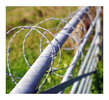 Círculo de arame farpado galvanizado tradicional 400M 500M 50Kg por rolo de aço 5mm de diâmetro para cerca e proteção