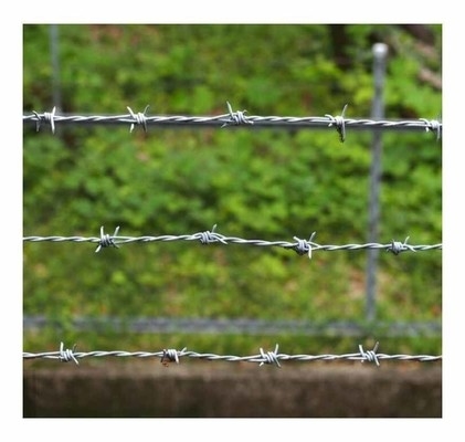 Espiral de arame farpado Galvanizado de arame farpado Defensiva Instalação de vedação de segurança