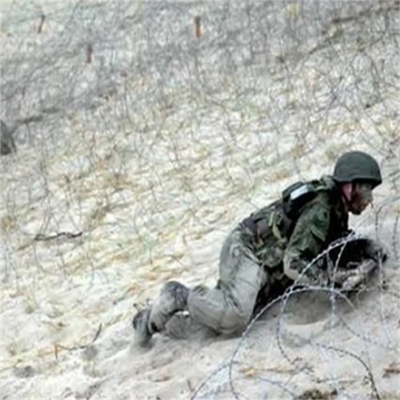Alta segurança aço galvanizado Anti-Climb Razor Wire Fence