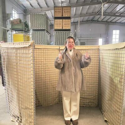 Mil 1 Defensive Barrier Hesco Barrier Galvanized Welded Mesh Prefabricated Flood Control Military Fortifications Easy Assembly