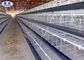 Sistema galvanizado da gaiola de bateria da casa aberta da galinha da camada para a exploração agrícola de galinha