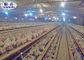 A / H datilografa a gaiola da galinha da camada com sistema automático para o equipamento de cultivo das aves domésticas
