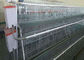 O mergulho Q235 quente galvanizou gaiolas modernas da galinha para 96 pássaros