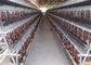 As séries do sistema automático Q235 4 mergulham a gaiola da galinha para a exploração agrícola