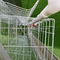 Gaiola de aço galvanizada 96 pássaros da galinha da camada do fio automática na exploração avícola
