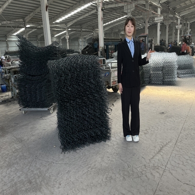 Resistência de corrosão soldada baixo aço carbono da cesta de Gabion do fio