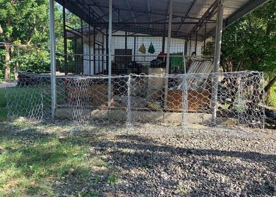 4x1x1m 3,05mm Wire Gabion Basket para construção de barragens e fundações com estruturas metálicas cilíndricas