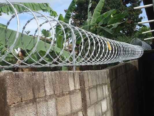 2024 KN Proteção de vedação Razor Barbed Wire Mesh 2.5mm No Quênia África do Sul Zimbabwe