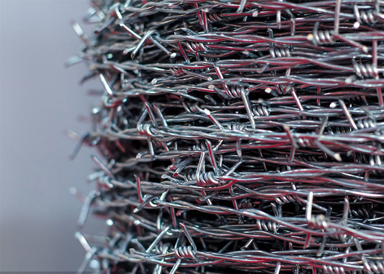 14 gauge Double Strand Reverse Twist Barbed Wire Coils de aço inoxidável