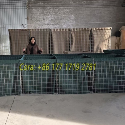 Galvanizado revestido galvanizado galvanizado galvanizado galvanizado galvanizado galvanizado galvanizado galvanizado galvanizado galvanizado galvanizado galvanizado galvanizado galvanizado galvanizado galvanizado galvanizado galvanizado galvanizado galvanizado galvanizado galvanizado galvanizado galvanizado galvanizado galvanizado galvanizado galvanizado galvanizado galvanizado galvanizado galvanizado galvanizado galvanizado galvanizado galvanizado galvanizado galvanizado galvanizado galvanizad