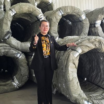 Egoza concertina arame esgrima Proteção nítida farpada para sites críticos