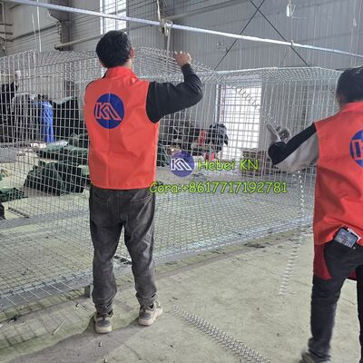 KN Caixa de gavião galvanizado galvanizado com preço competitivo de barreira Hesco