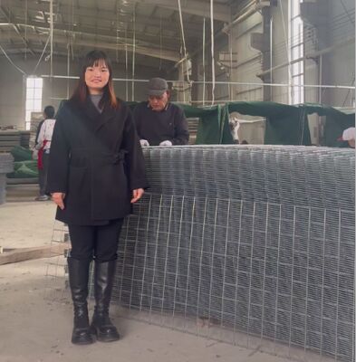 SX10 Barreiras defensivas HESCO de areia com geotextil Barreiras Gabião Militar preço de barreira HESCO