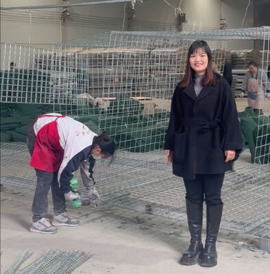 Mil 1 Barreira Defensiva do Exército Proteção de Parede Galvanizado Revestido com Geotextil