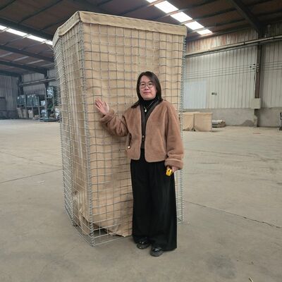 Barreira Militar Hesco Bastion Wire Mesh Gabion Box com espiral Tie Wire e diâmetro de fio grosso para maior estabilidade