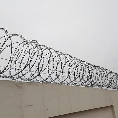 cerca de arame farpado da lâmina da sanfona BTO-16 da fita de aço inoxidável da bobina de 50cm